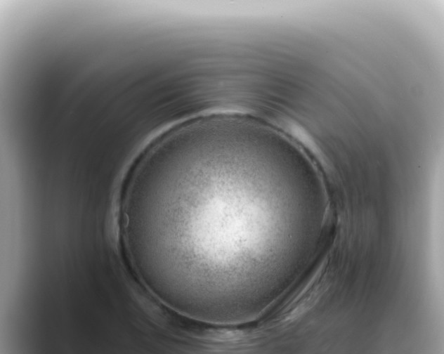 X0000089861124200707051128
