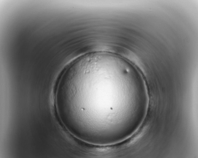 X0000089861125200707051128