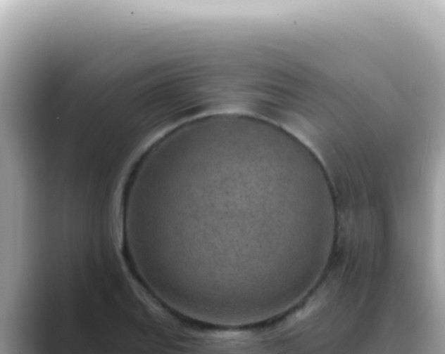 X0000089861127200707051128