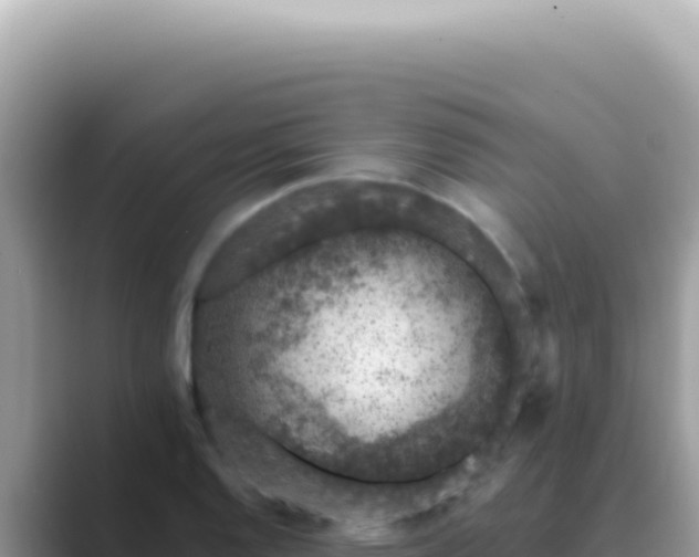 X0000089861128200707051128