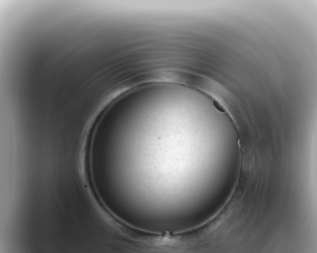X0000089861139200707051128