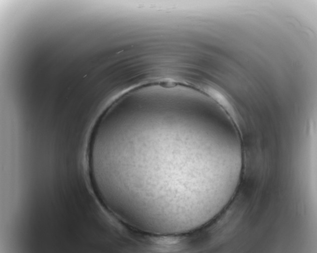 X0000089861141200707051128