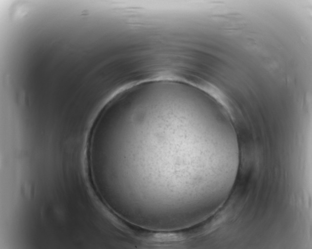 X0000089861142200707051128