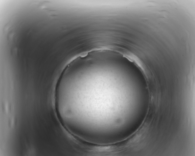 X0000089861143200707051128