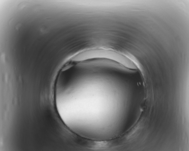 X0000089861144200707051128