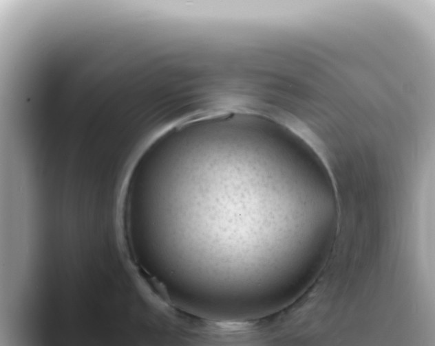 X0000089861152200707051129