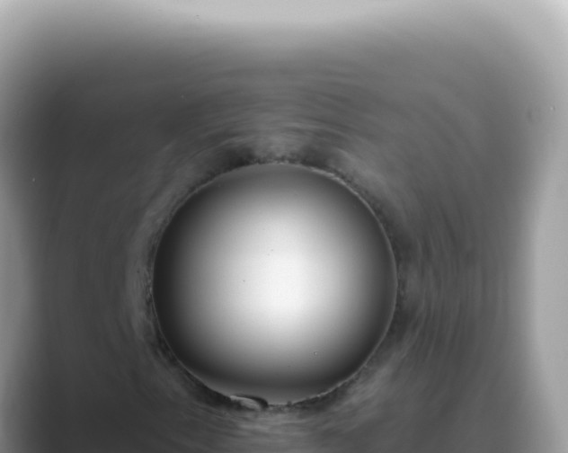 X0000089861153200707051128