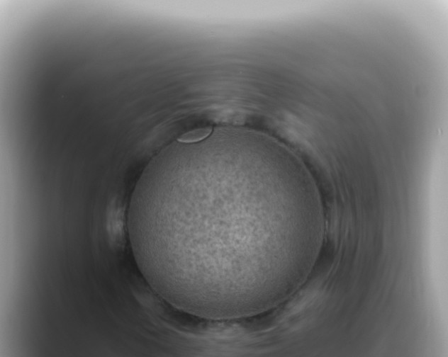 X0000089861154200707051128