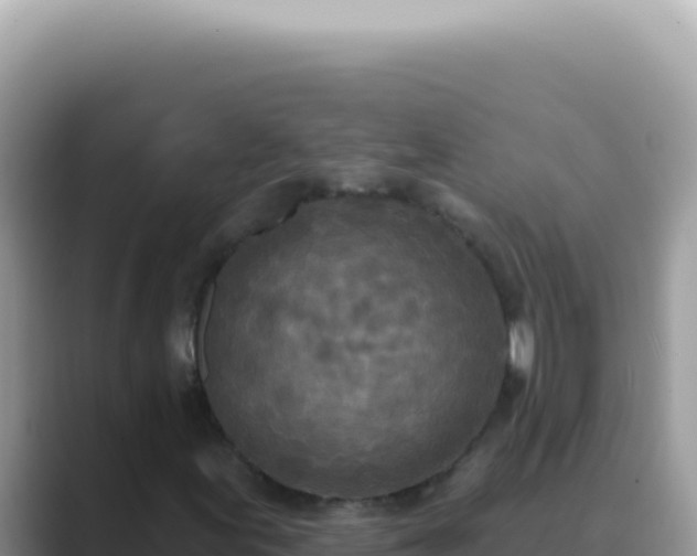 X0000089861155200707051128