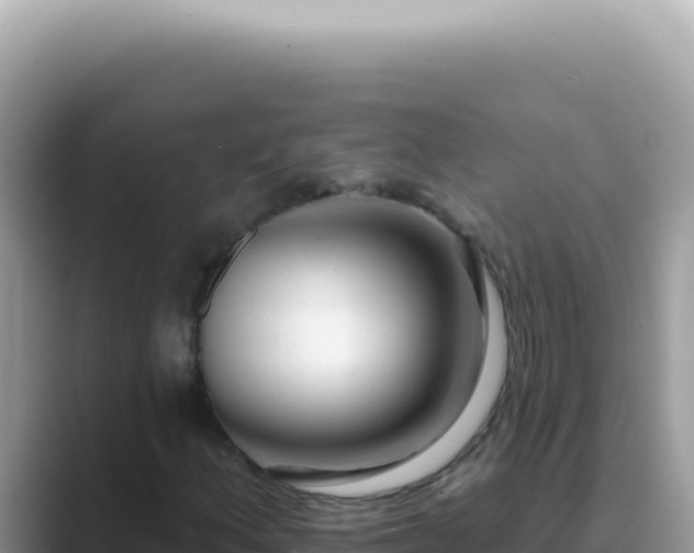 X0000089861156200707051128