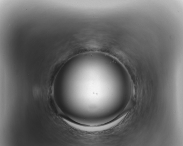 X0000089861157200707051128
