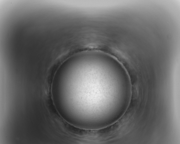 X0000089861158200707051128