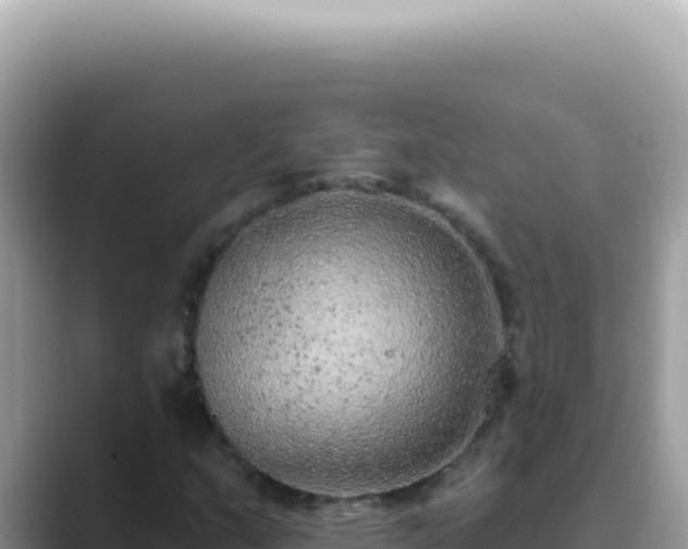 X0000089861159200707051128