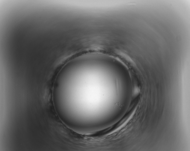 X0000089861160200707051128