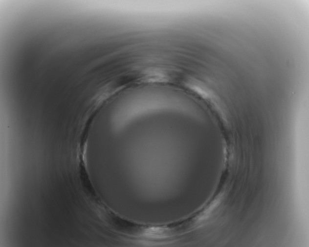X0000089861161200707051128