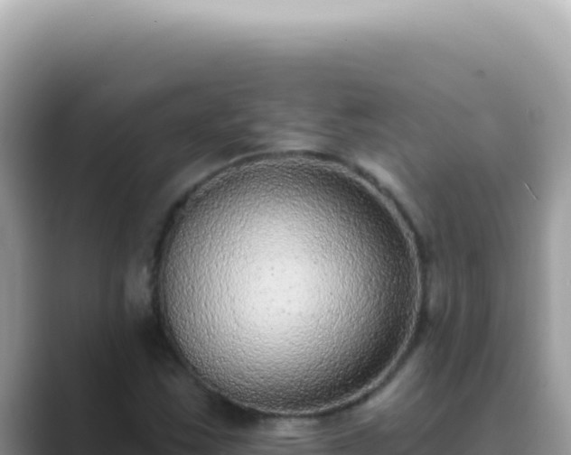 X0000089861163200707051128