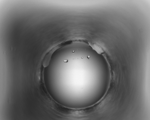 X0000089861165200707051128