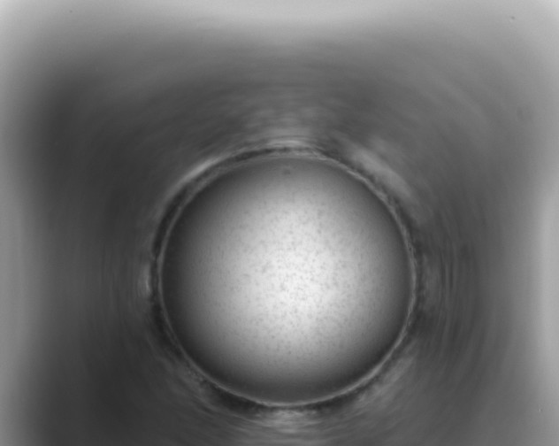 X0000089861166200707051128