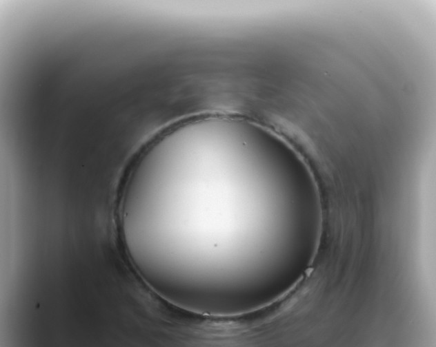 X0000089861168200707051128