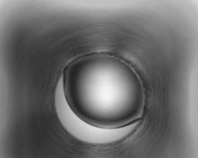 X0000089861169200707051128