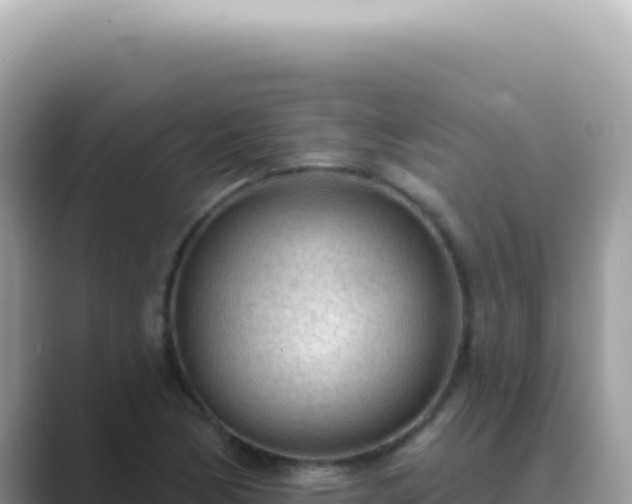 X0000089861170200707051128