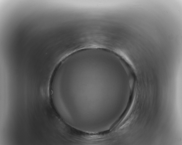 X0000089861173200707051128