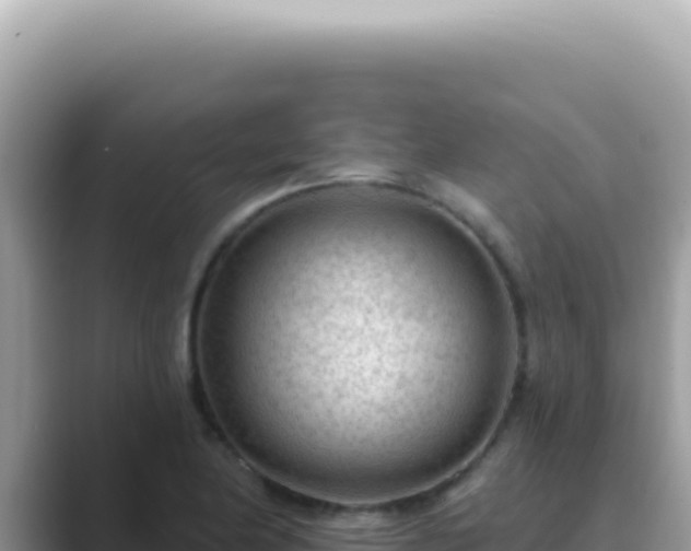 X0000089861174200707051128