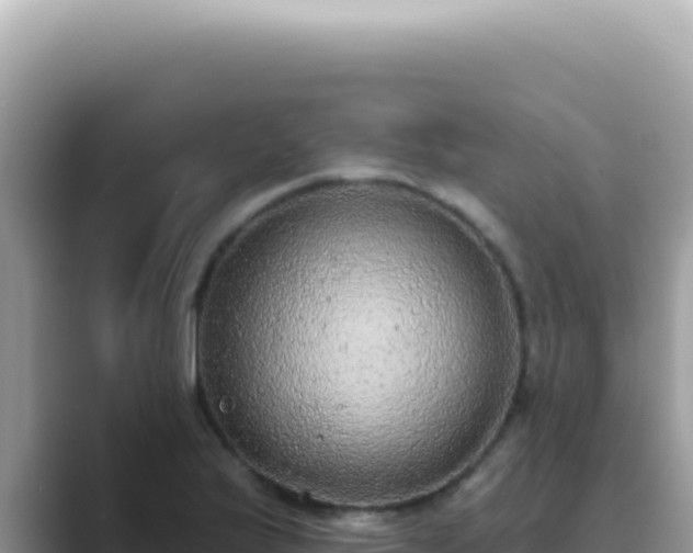 X0000089861175200707051128