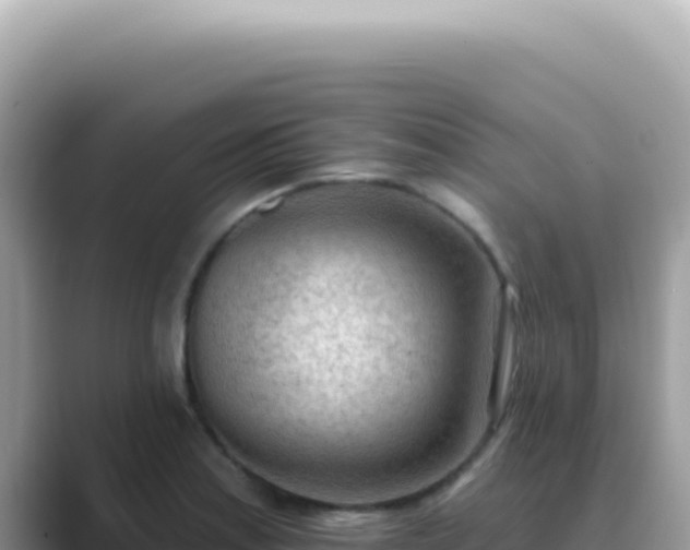 X0000089861179200707051128