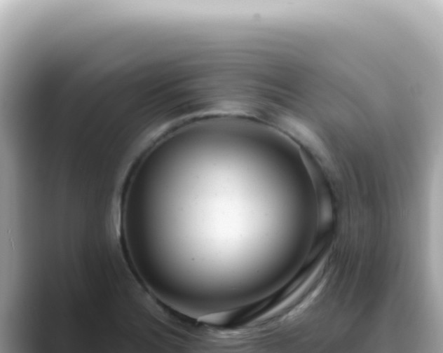 X0000089861180200707051128