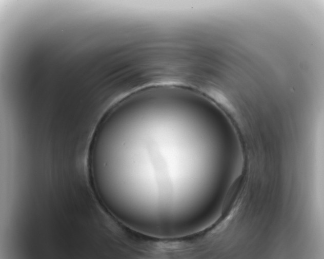 X0000089861181200707051128