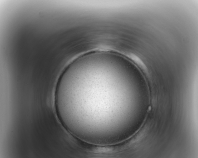 X0000089861183200707051128