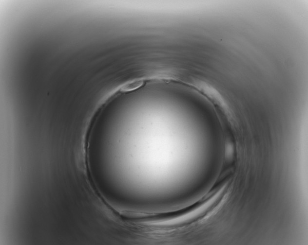 X0000089861184200707051128