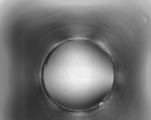 X0000089861189200707051128