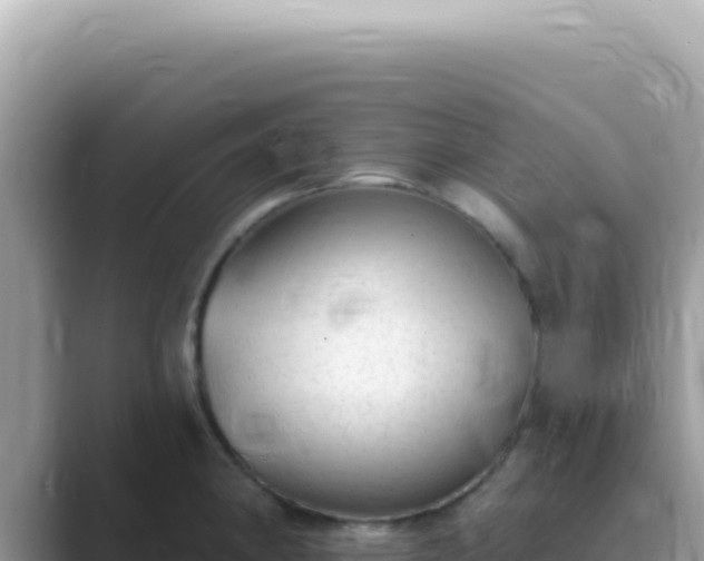 X0000089861190200707051128