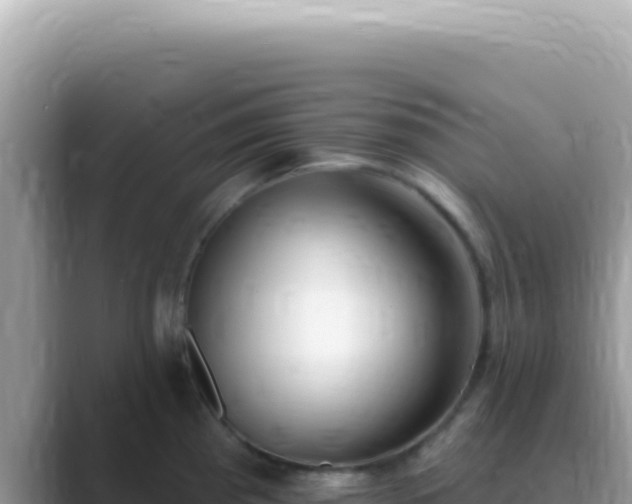 X0000089861193200707051128