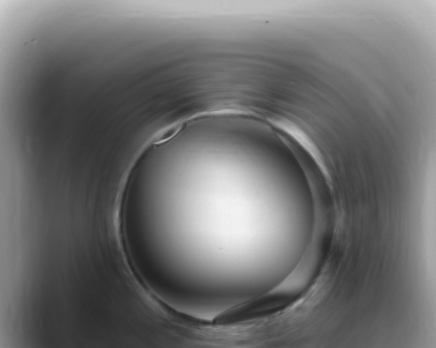 X0000089861197200707051128