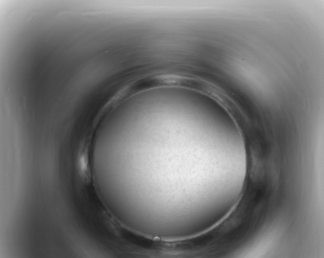 X0000089861198200707051128