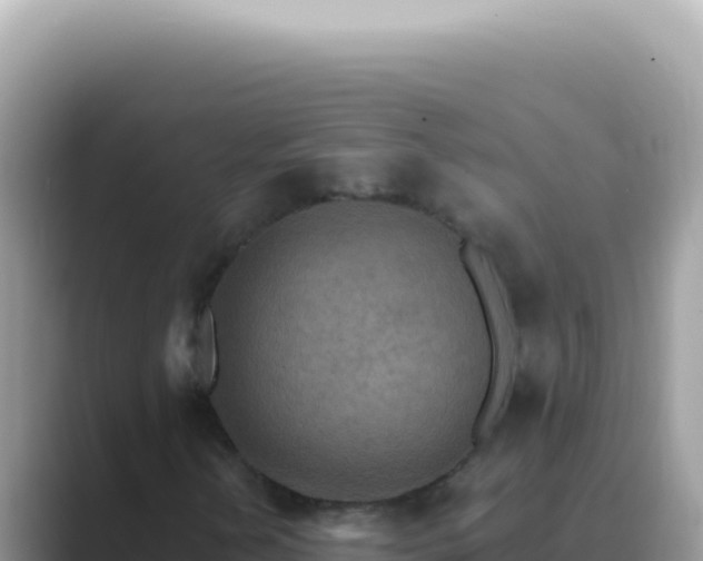 X0000089861202200707051127