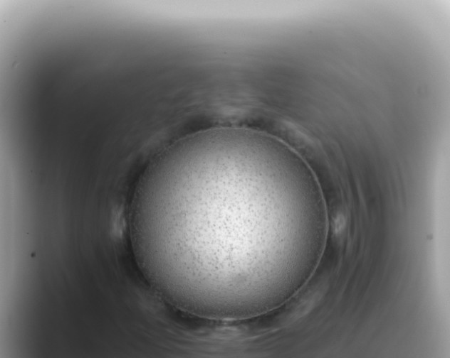 X0000089861204200707051127