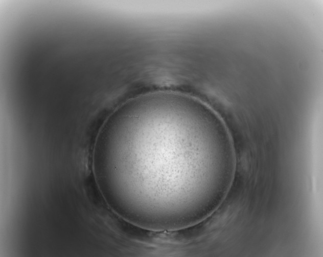 X0000089861205200707051127