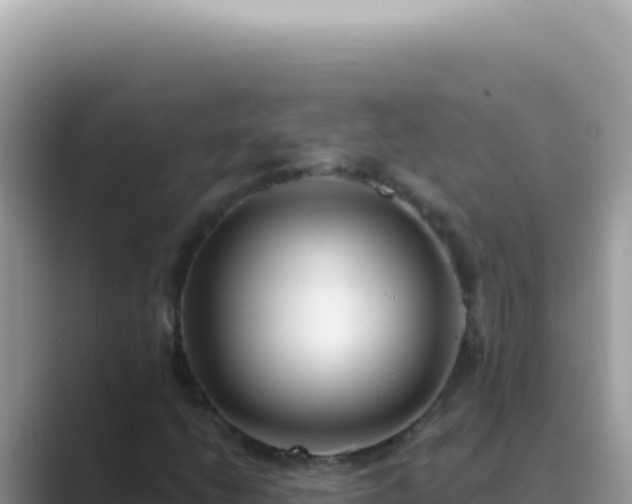 X0000089861206200707051127