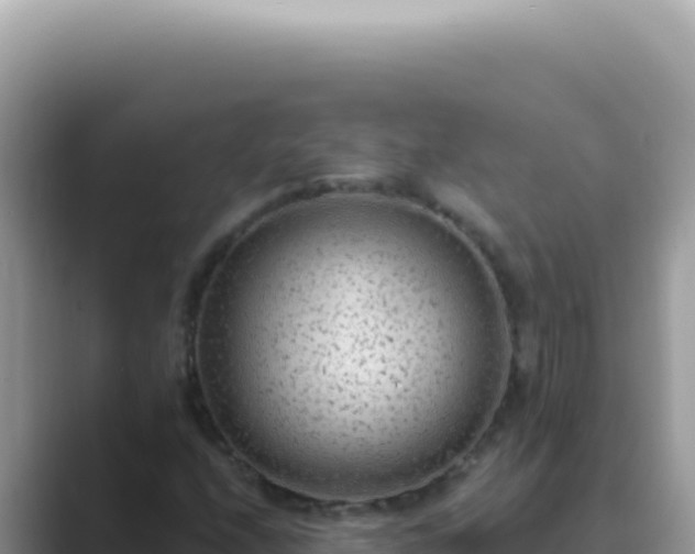 X0000089861208200707051127