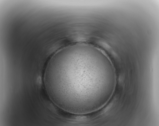 X0000089861209200707051127
