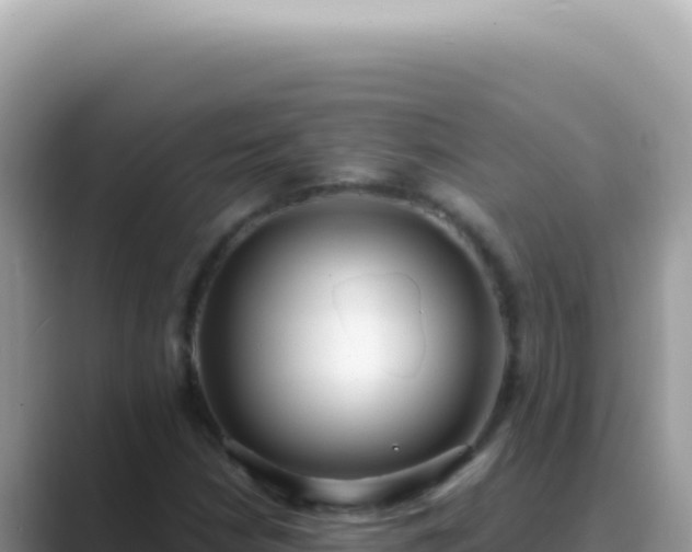 X0000089861210200707051127