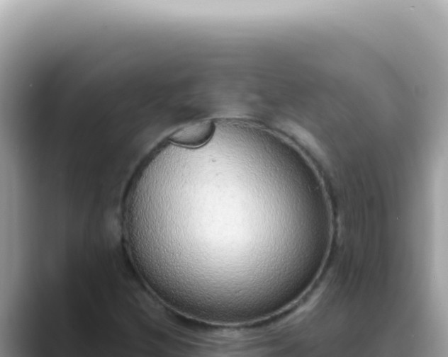X0000089861212200707051127