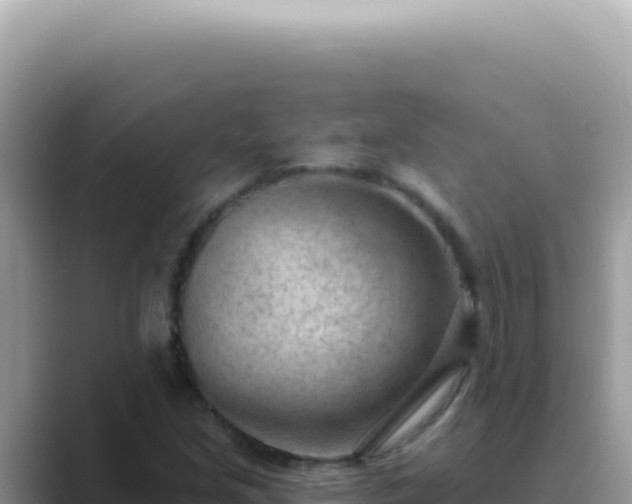 X0000089861213200707051127