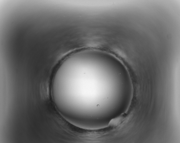 X0000089861214200707051127