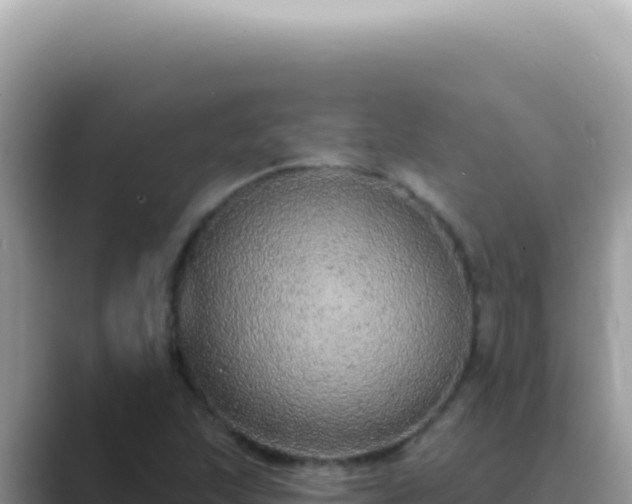 X0000089861215200707051127