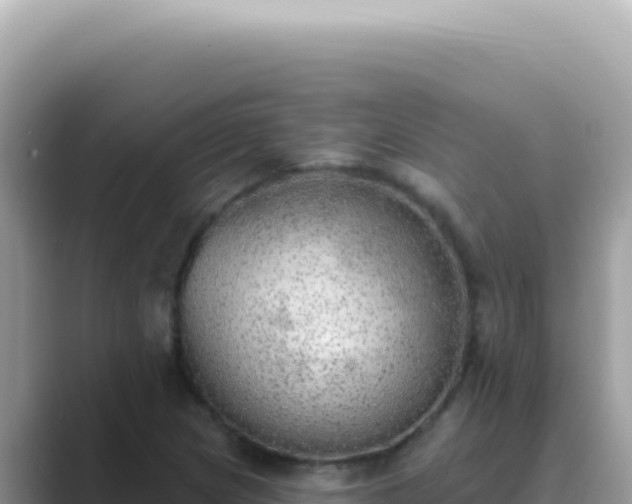 X0000089861217200707051127
